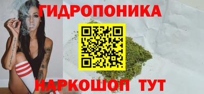 Альфа ПВП Северобайкальск